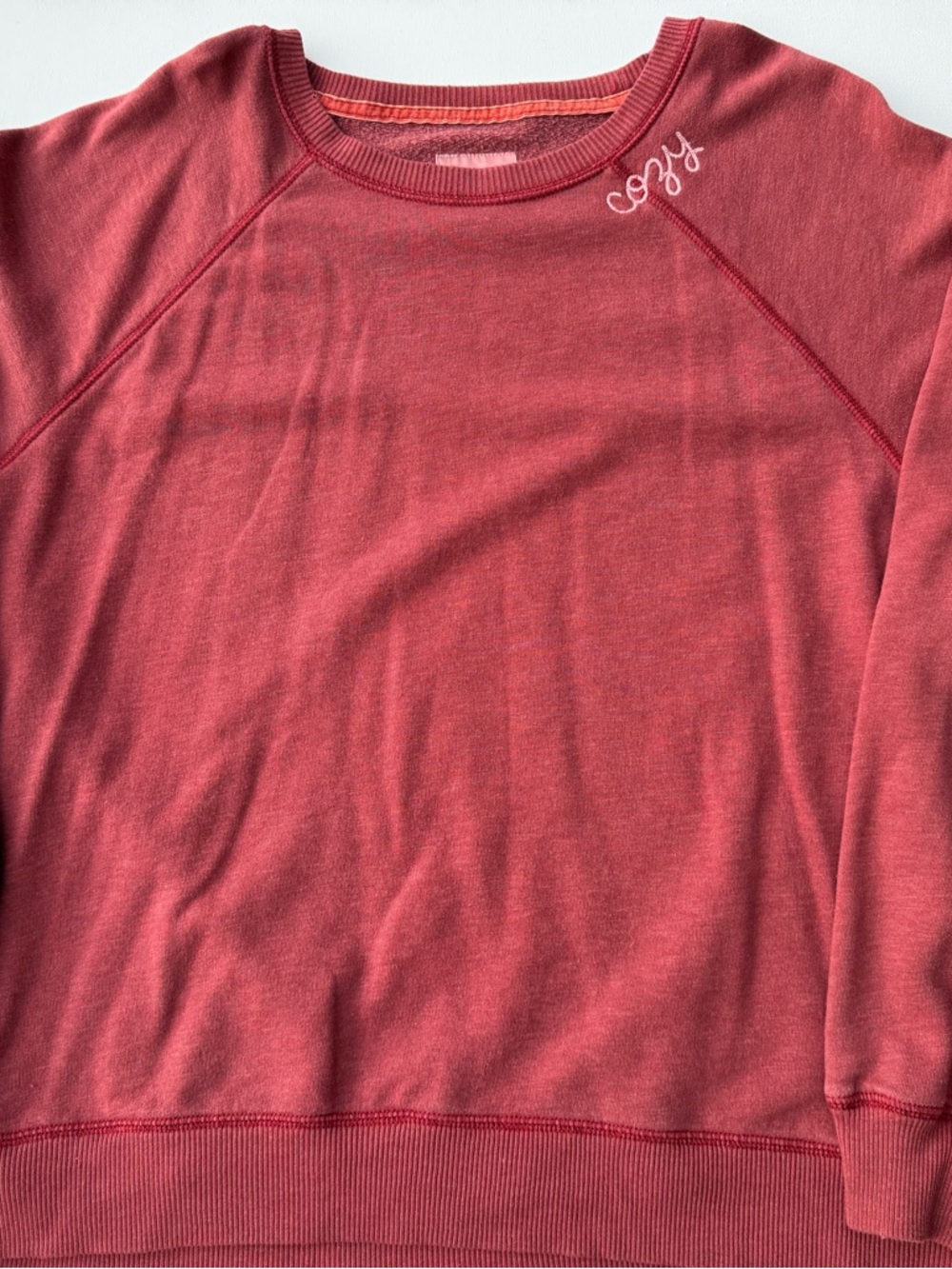 American Eagle Outfitters Cozy Crewneck Sweatshirt
